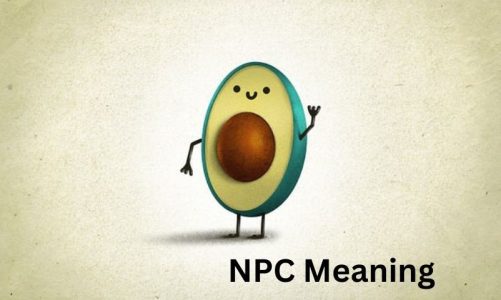 NPC Meaning