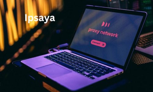 Ipsaya: A Complete Guide to IP Address Lookup & Tracking