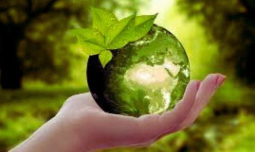 sustainable living practices for families