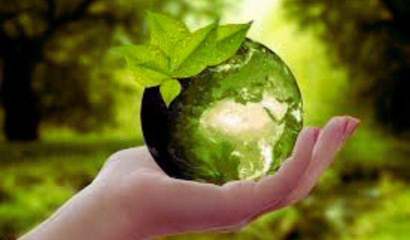 sustainable living practices for families