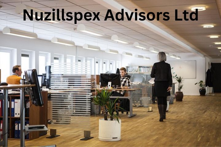 Nuzillspex Advisors Ltd: Company Overview and Services